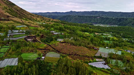 terraced fields on mt batur at sunrise, bali, with lush hills and calm mood