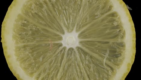 rotación, primer plano de la pulpa fresca y jugosa de un limón. fondo y textura del limón. vista superior.