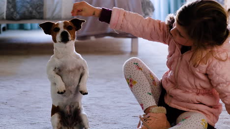 Kind-Trainiert-Pet-Jack-Russell,-Um-Mit-Handgesten-Aufrecht-Auf-Den-Hinterbeinen-Zu-Sitzen