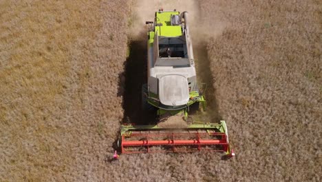 toma aérea de una cosechadora moderna en el campo cosechando trigo dejando polvo atrás