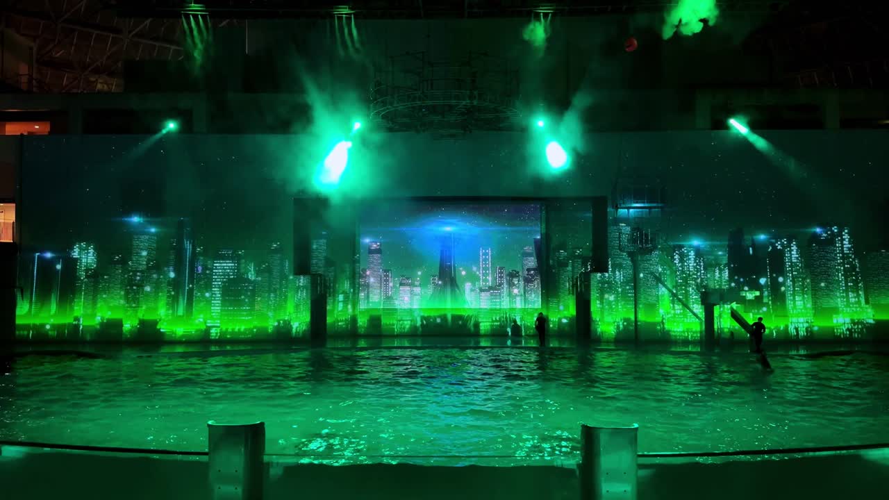 Spectacular Dolphin Show with Laser Lights and Cityscape Background
