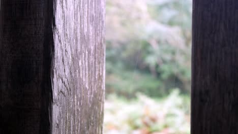 raining weather conditions in rural mountain countryside through rustic oak wood barn beams window