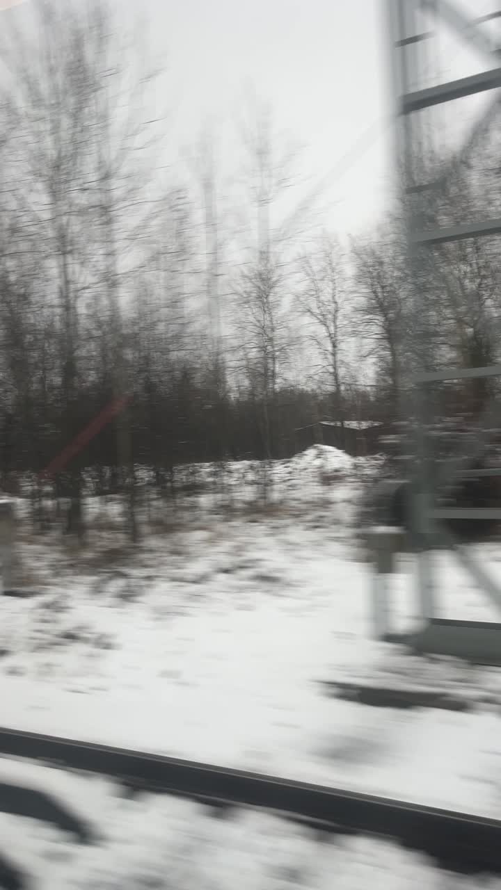 Winter landscape with snow and trees seen from a train