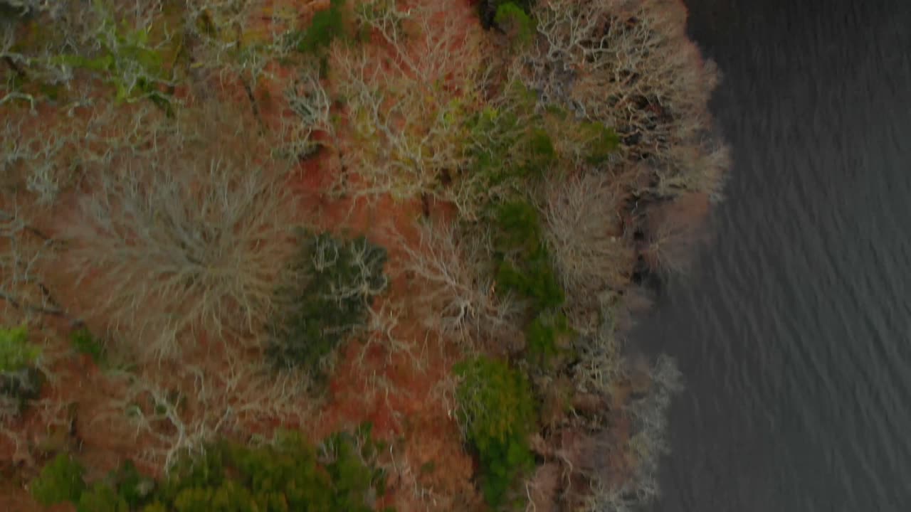 parque nacional de killarney en invierno