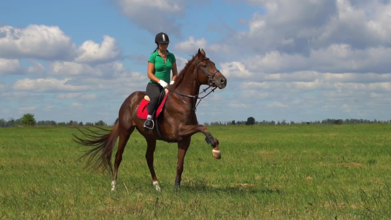 женщина едет на лошади в поле.