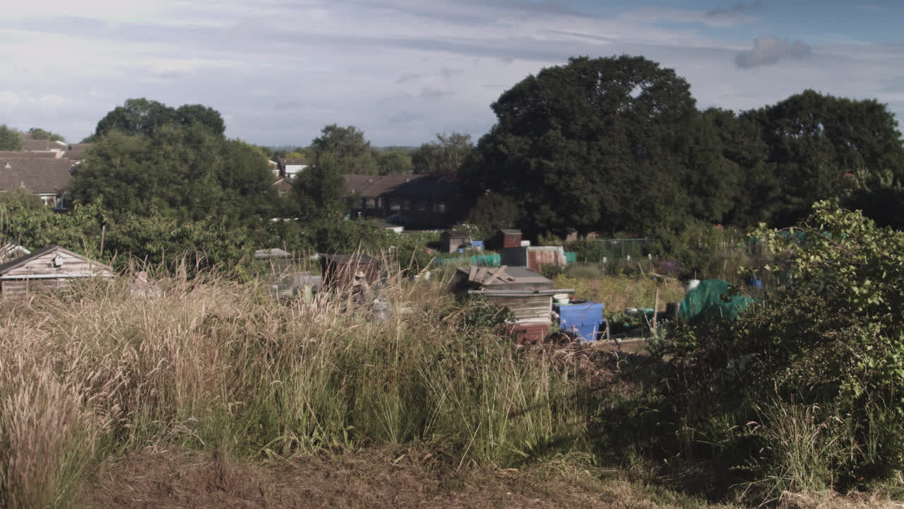 흐린 날에는 아무도 보이지 않는 대낮에 일부 과수원의 꾸준한 샷