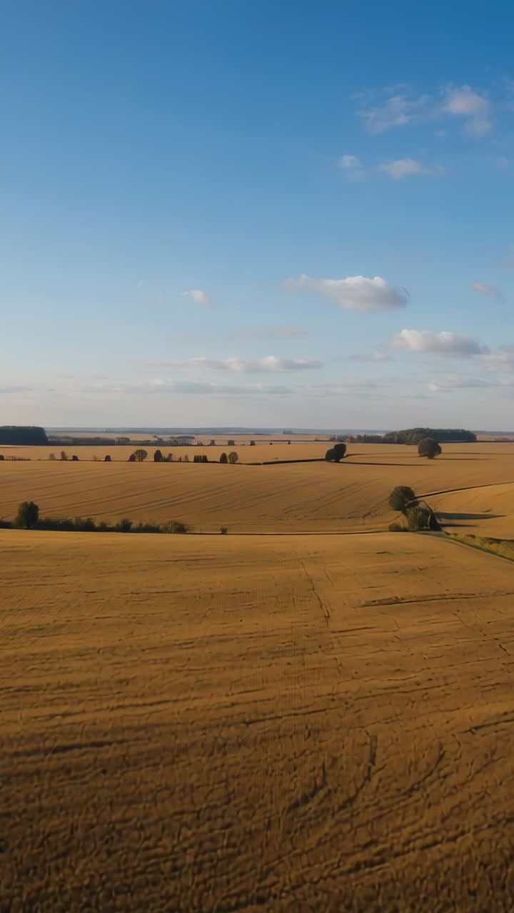 Vertical video: Starting glide, drone camera scanning golden fields over farmland, showing furrows