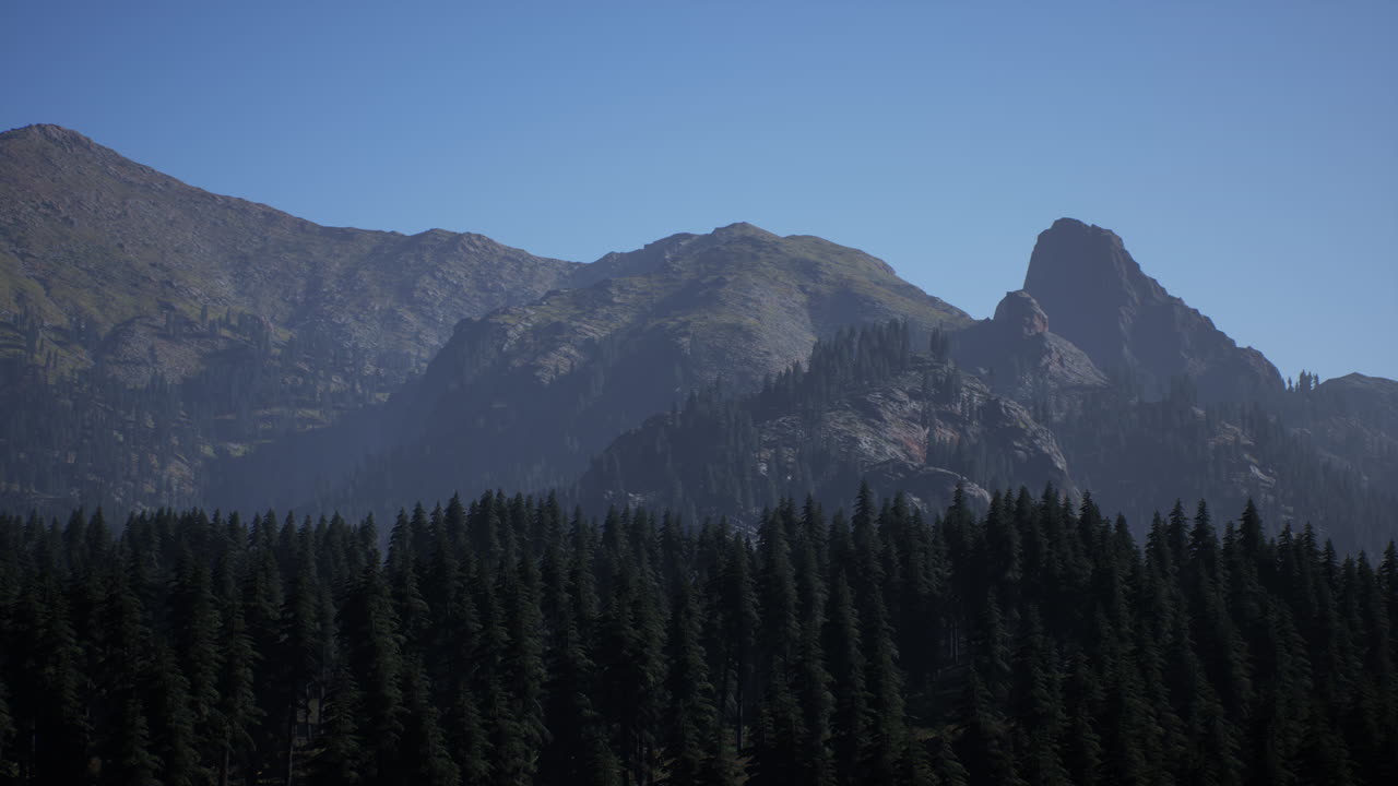 impresionante vista de la montaña con un bosque de pinos