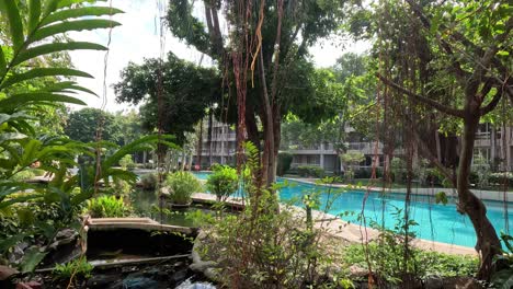 plants swaying gently by a tranquil pool