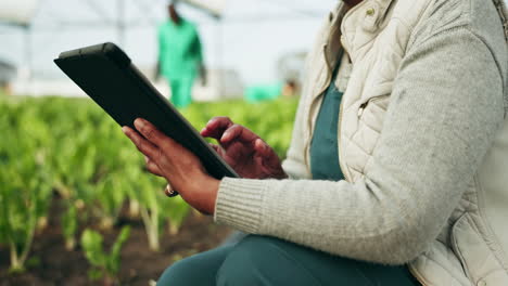 greenhouse, research and woman hands on tablet