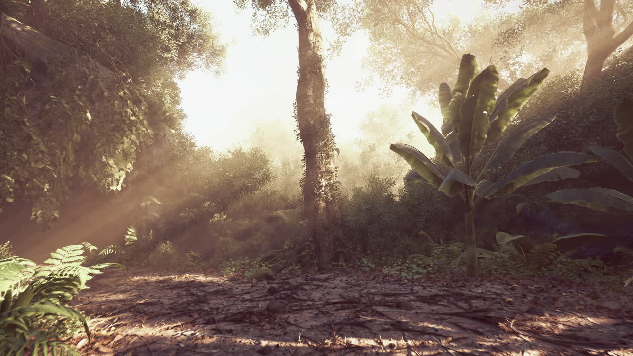 Sunlit jungle scene featuring lush greenery and vibrant plant life at dawn