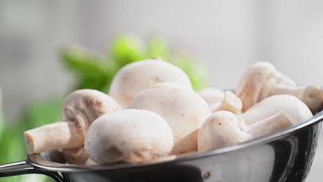 washing champignon mushrooms in a colander under a stream of water splashing in slow motion