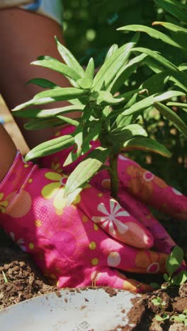 a dedicated gardener cultivates healthy plants with colorful gloves while nurturing nature in a lush green environment, emphasizing care and growth
