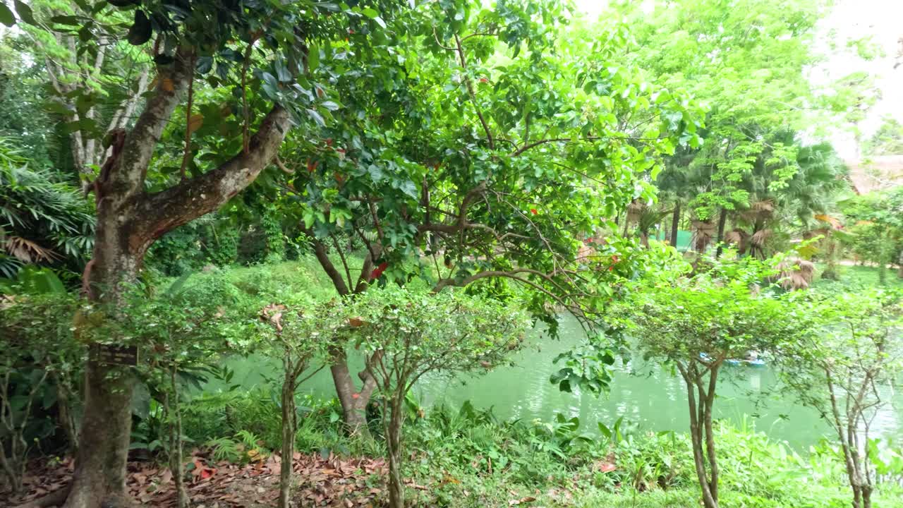 Smooth daylight pan from rustic wooden porch with traditional tools to vibrant riverside greenery