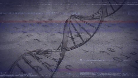 animación del código de adn giratorio sobre el código binario