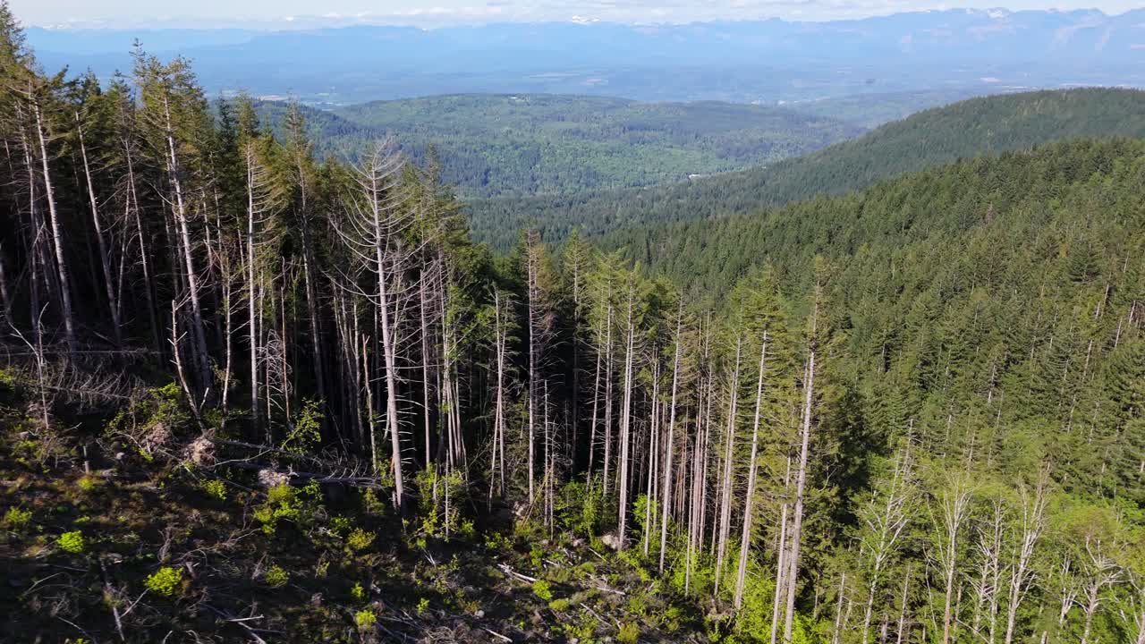 vista aérea panorámica que revela el paisaje y el bosque del estado de washington en los alpes de issaquah