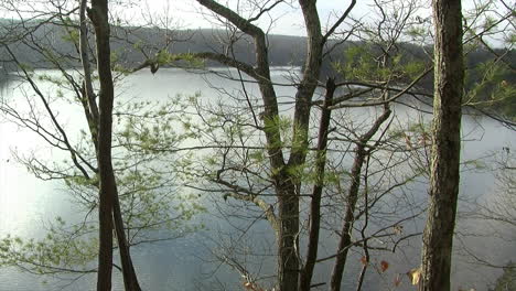 high angle view of lake with pine trees in foreground