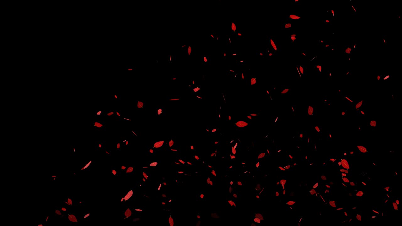 죽은 잎, 빨간 잎, 가을 잎, 어나오는 입자, 모션 그래픽