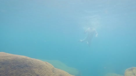 Joven-Nadando-Bajo-El-Agua-En-Agua-Azul-Clara-En-El-Día-Desde-Un-ángulo-Bajo