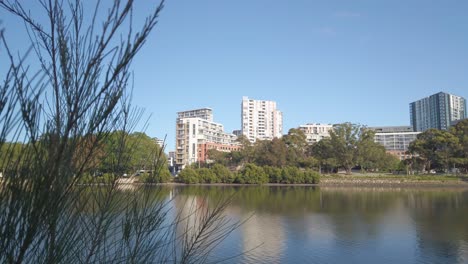 Static-shot-of-suburb-of-Sydney,-Wolli-Creek-at-the-beautiful-Tempe-reserve