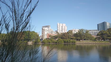 Toma-Estática-Del-Suburbio-De-Sydney,-Wolli-Creek-En-La-Hermosa-Reserva-Tempe