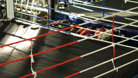 view of empty boxing ring