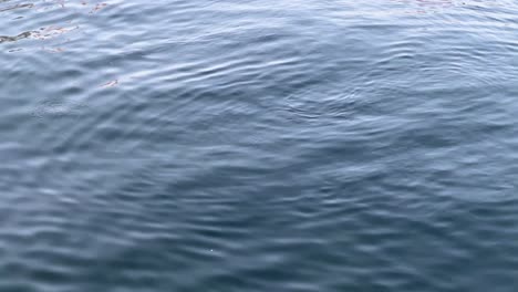 close-up of tranquil blue water surface with gentle ripples, reflecting a serene atmosphere