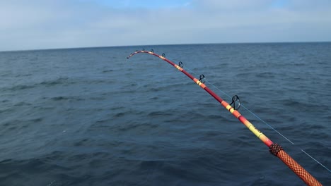 red fishing rod with blue water