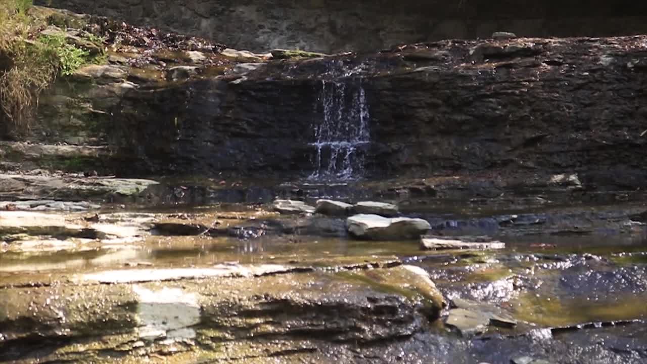 Water Flowing Down Small Rockface Into Stream On Sunny Day