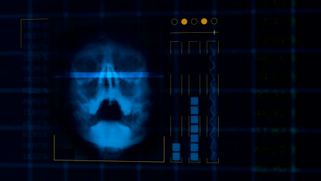 scan of a human skull, looped hud interface medical equipment