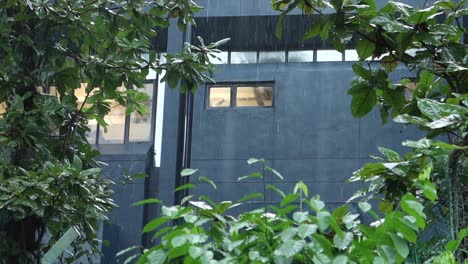 residential buildings at rainy day ,