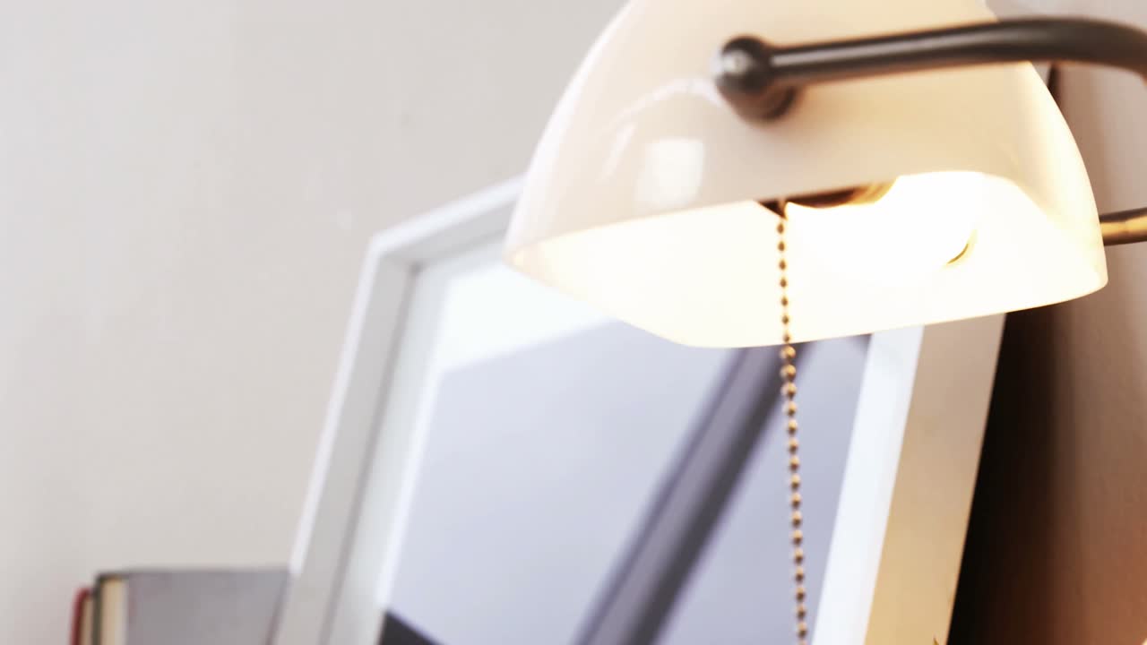 Rostlina aloe vera, stolní lampa a fotorámeček