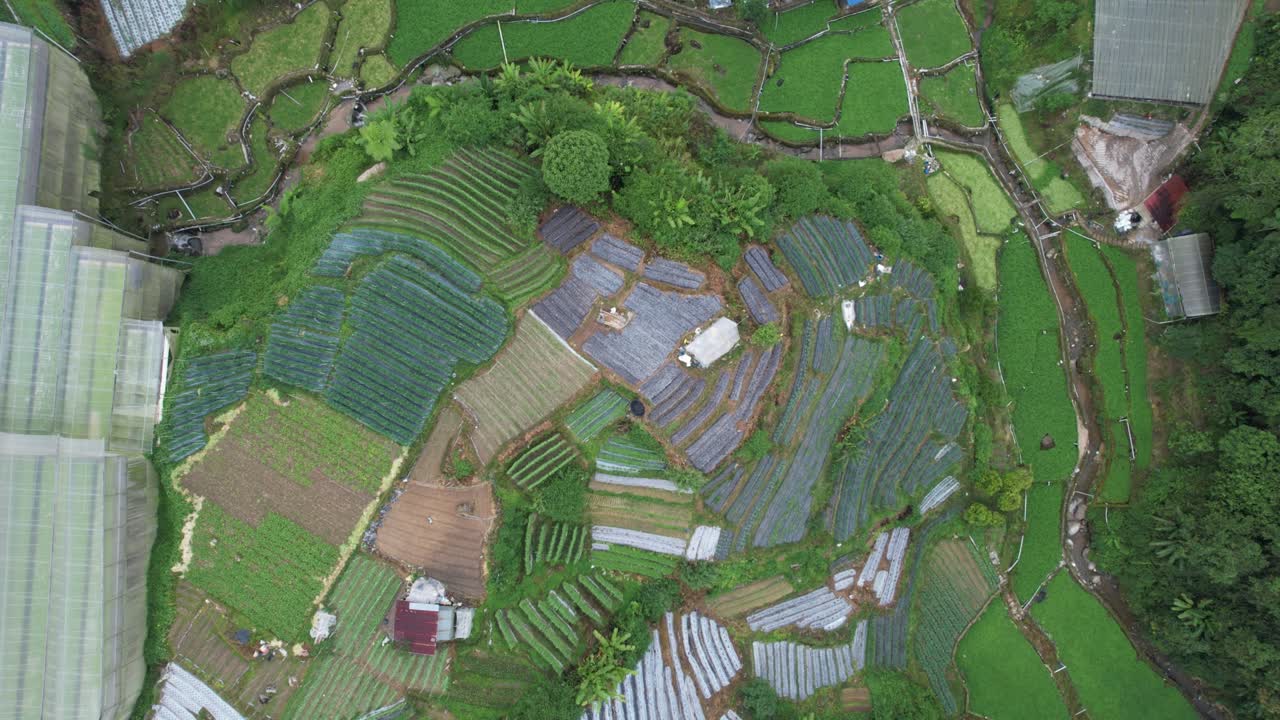 общий ландшафтный вид района бринчанг в пределах камеронского нагорья малайзии