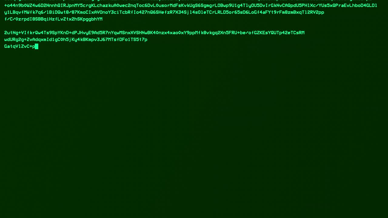 piratería verde en el sistema, corrupción de archivos, pérdida de datos, comandos de programación en la pantalla.