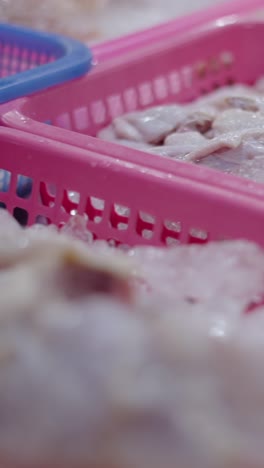 신선한  날개