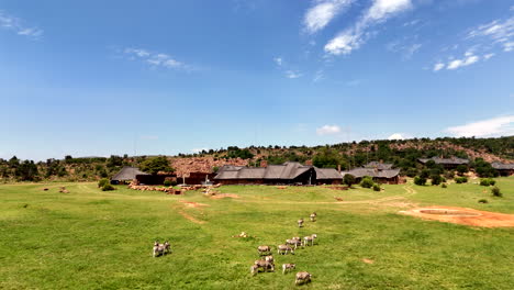 aerial pan of luxury safari lodge built into nature with zebras in foreground