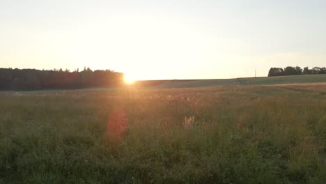 low-flying drone images over meadows at sunset with beautiful sun flares in the background the woods