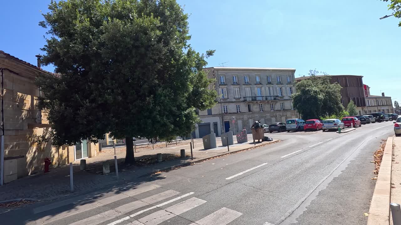 나무로 둘러싸인 거리를 따라 주차 된 자동차