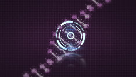 animación del escaneo de alcance y el giro de la cadena de adn
