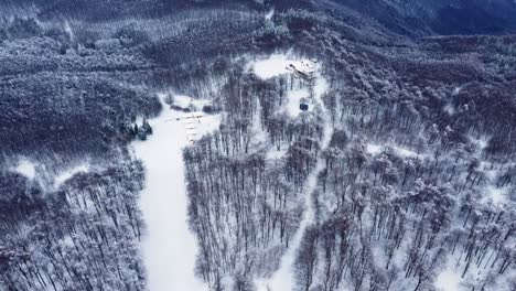 Hidden-charms-of-Chumerna-lodge:-Unveiling-beauty-from-above