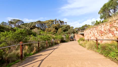 a serene walk along a sunlit path surrounded by lush greenery and rocky formations, leading to a scenic viewpoint