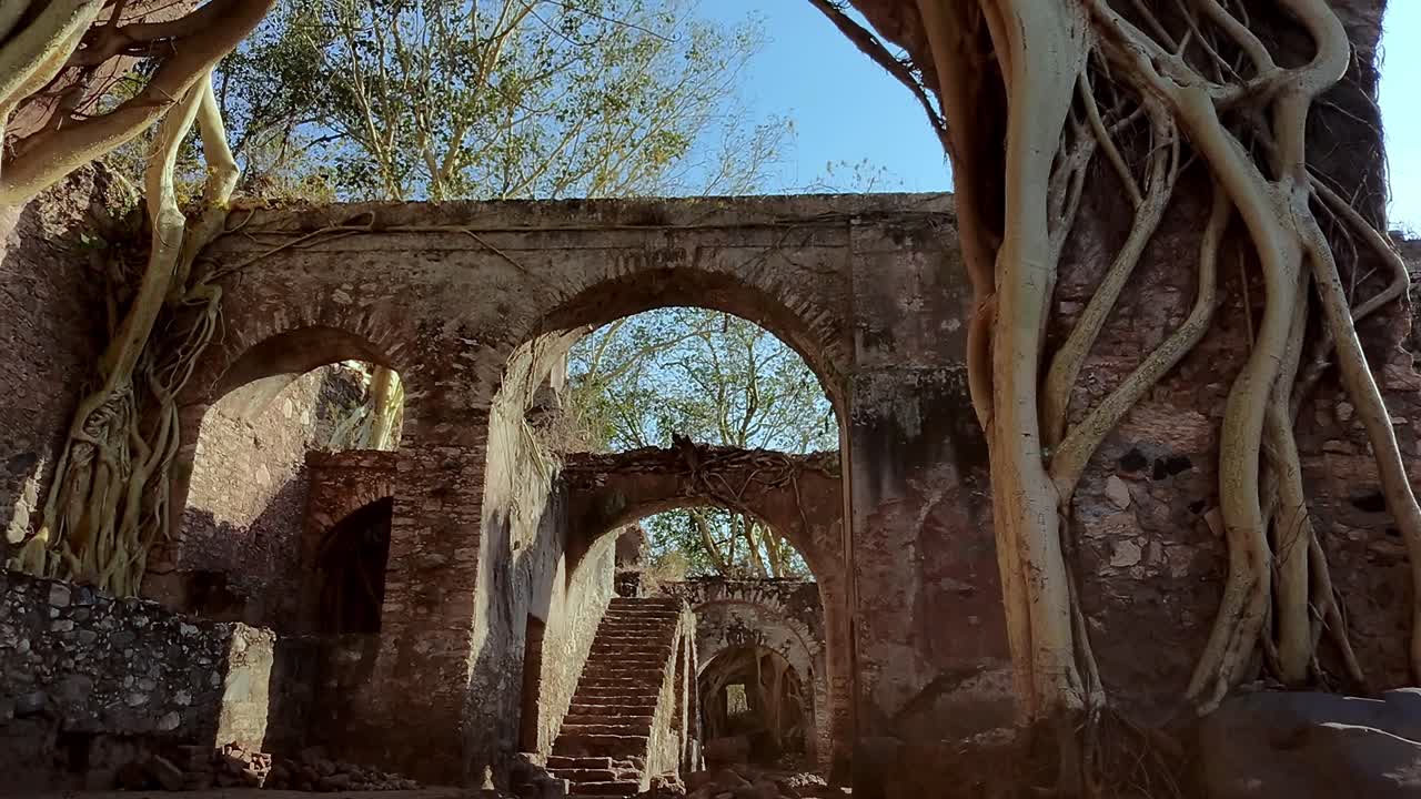 Hacienda Ixtoluca ruins overtaken by nature, arches surrounded by tree roots