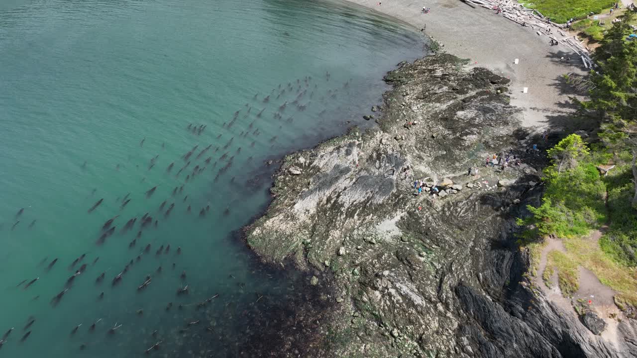 toma de drone del área de piscinas de marea en el estado de washington