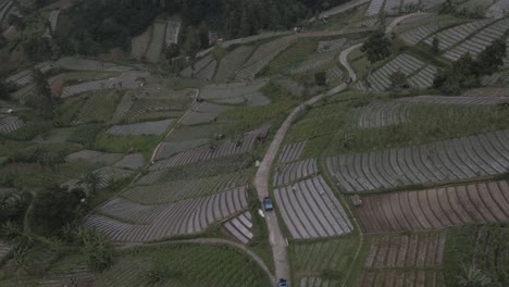 Vista-Aérea,-Recorrido-En-Jeep-Pasando-Por-Montañas-En-Campos-De-Hortalizas-En-Tawangmangu,-Indonesia