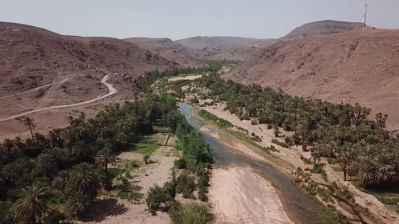 Riprese aeree con drone di un fiume che scorre attraverso una lussureggiante oasi di palme circondata da montagne desertiche a Ouarzazate, Marocco. Composizione pulita e contrasto naturale ideali per viaggi, ambiente e cinematografia