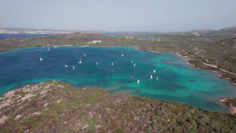 cinematic aerial view of beautiful sailboats sailing over the sea of ​​the island of caprera in sardinia