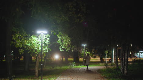 young adult walking along peaceful night path with lush trees and glowing lampstands, creating a calm serene ambiance while distant car lights softly illuminate background in quiet urban park setting