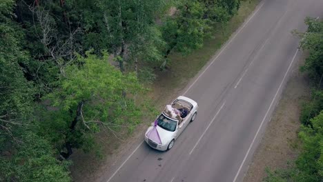 upper view couple in celebratory wedding convertible