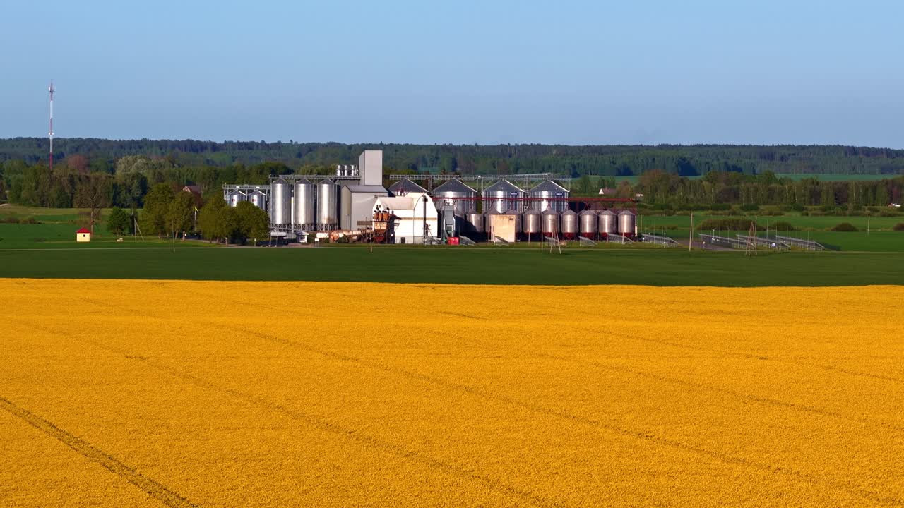 Struttura per lo stoccaggio di cereali agricoli situata dietro un vibrante campo dorato.