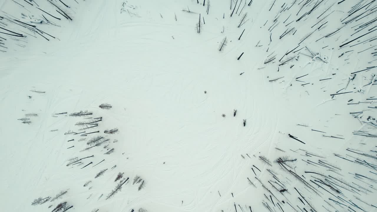 그랜드 레이크 콜로라도에서 스노모빌 타기